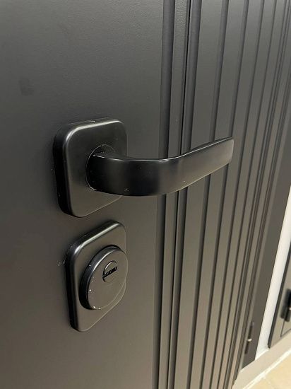 Входная дверь  