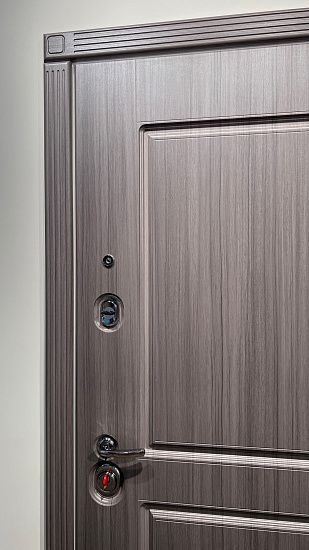 Входная дверь  